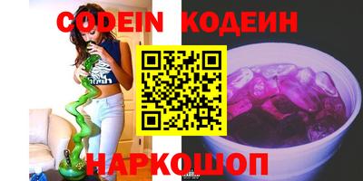 индика Дубна