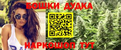 гидра Жуковский