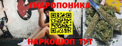 mdpv Заводоуковск