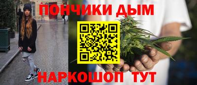 индика Дубна