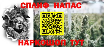mdpv Заводоуковск