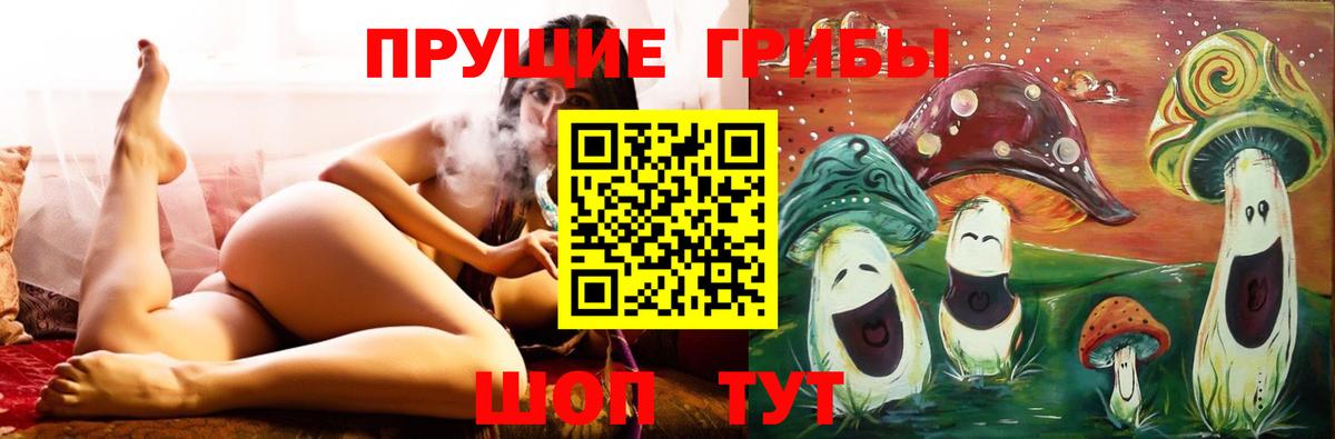Новоалтайск  Псилоцибиновые грибы ЛСД  Вход с VPN 